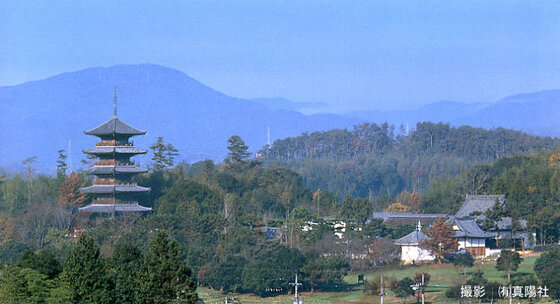 竣工遠望全景